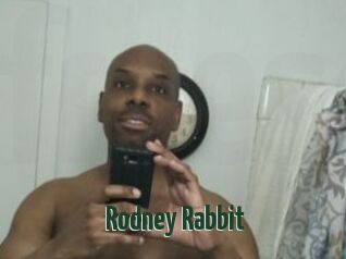 Rodney_Rabbit