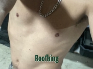 Roofking