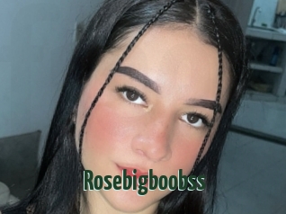 Rosebigboobss