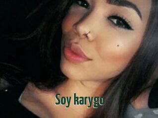 Soy_karygo