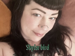 Skylar_bird