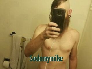 Sodomymike