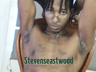 Stevenseastwood