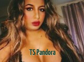 TS_Pandora