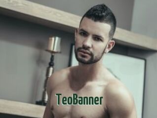 TeoBanner