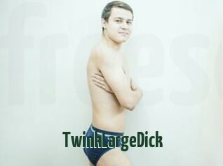 TwinkLargeDick