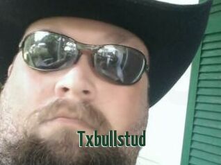 Txbullstud