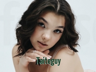 Taiteguy