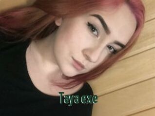 Taya_exe