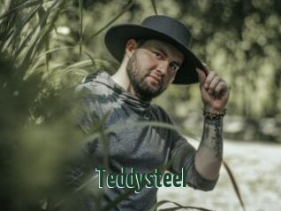 Teddysteel