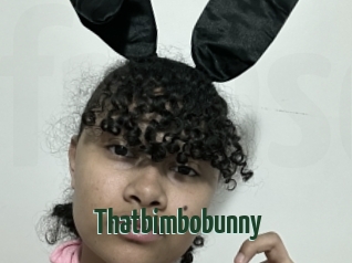 Thatbimbobunny