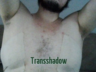 Transshadow