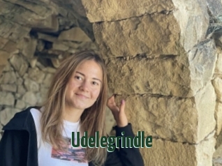 Udelegrindle