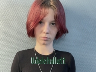 Udelehallett