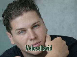 VelosaDavid