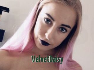 VelvetDaisy