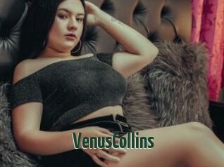 VenusCollins