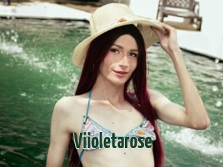 Viioletarose