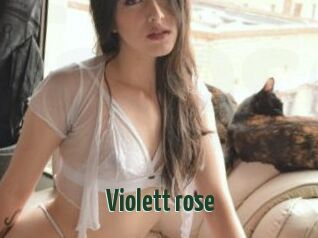 Violett_rose