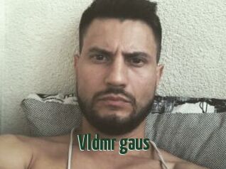 Vldmr_gaus