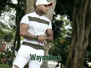 WayneBlack