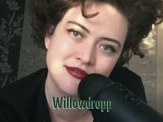 Willowdropp