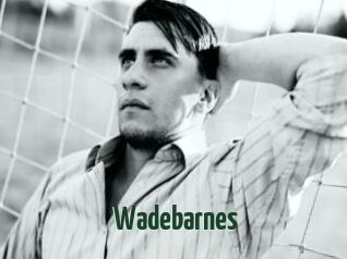 Wadebarnes