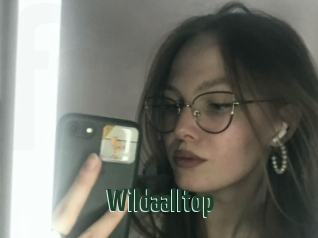 Wildaalltop