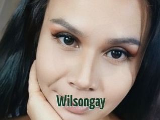 Wilsongay