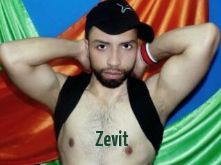 Zevit